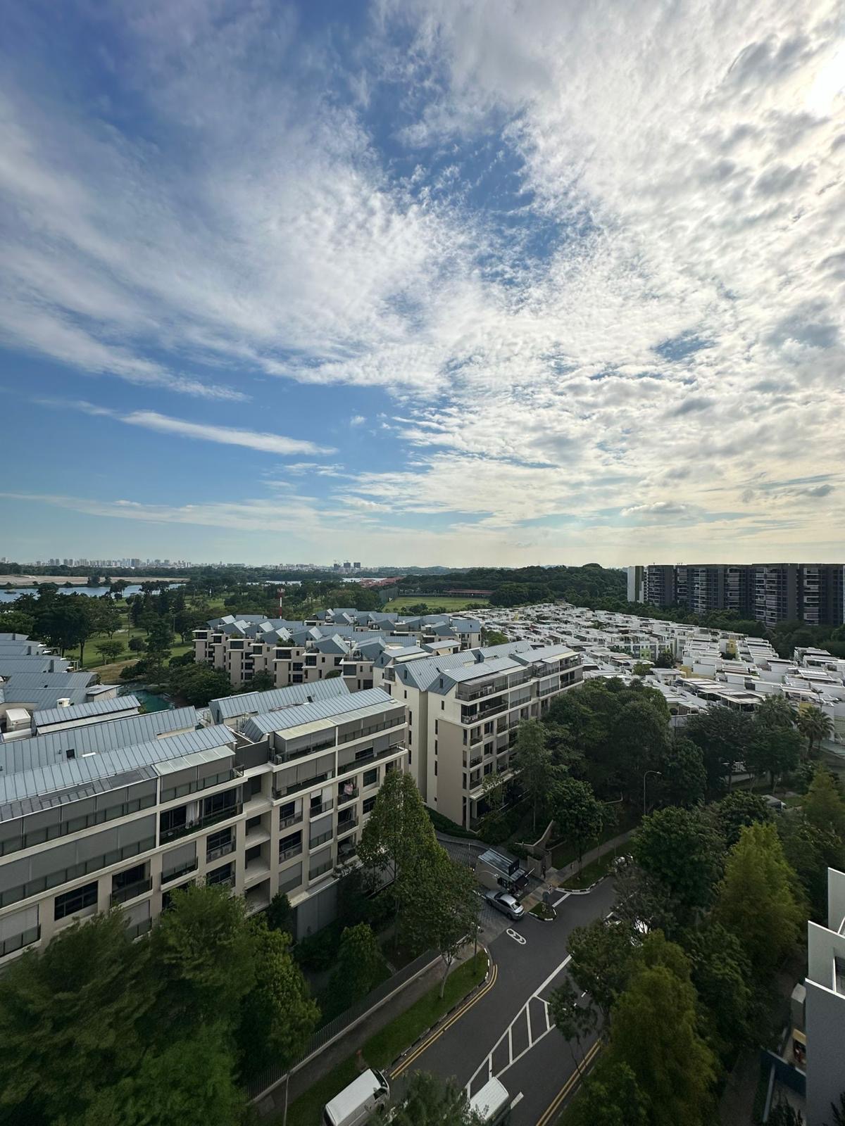 Skies Miltonia, artist's impression 3