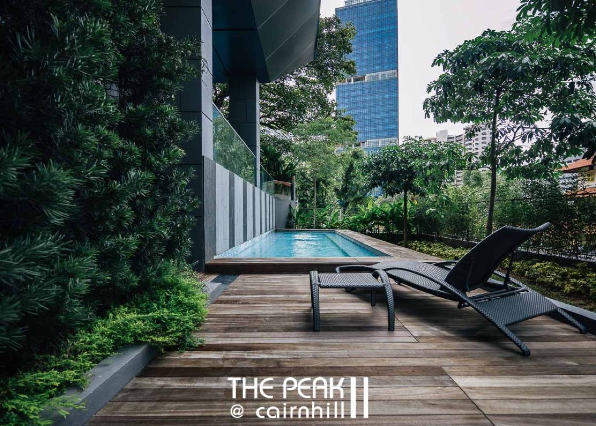 The Peak @ Cairnhill II, artist's impression 5