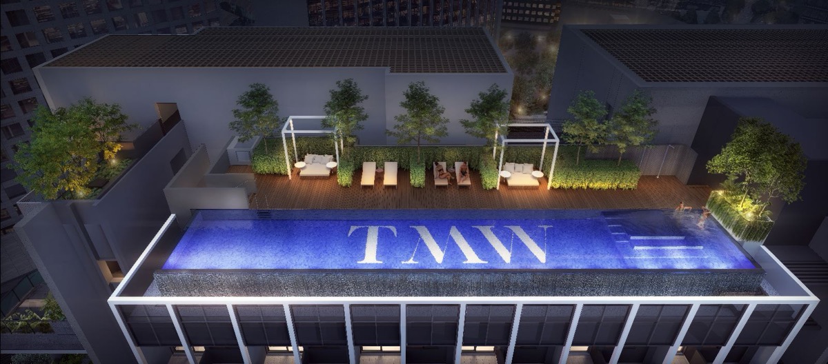 TMW Maxwell, artist's impression 2
